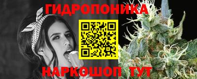 mdpv Кингисепп