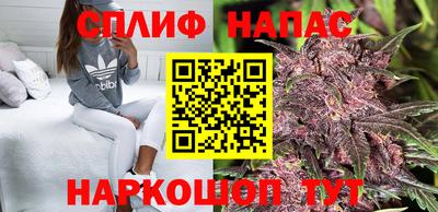 mdpv Кингисепп