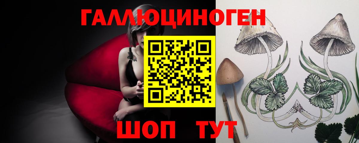 Псилоцибиновые грибы GOLDEN TEACHER Добрянка
